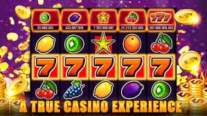 sunbet live