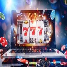 sunbet live