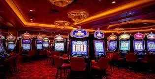 sunbet live