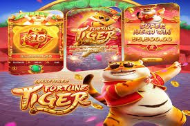 sunbet live
