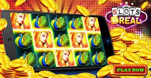 sunbet live